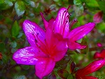 20070322 16.jpg